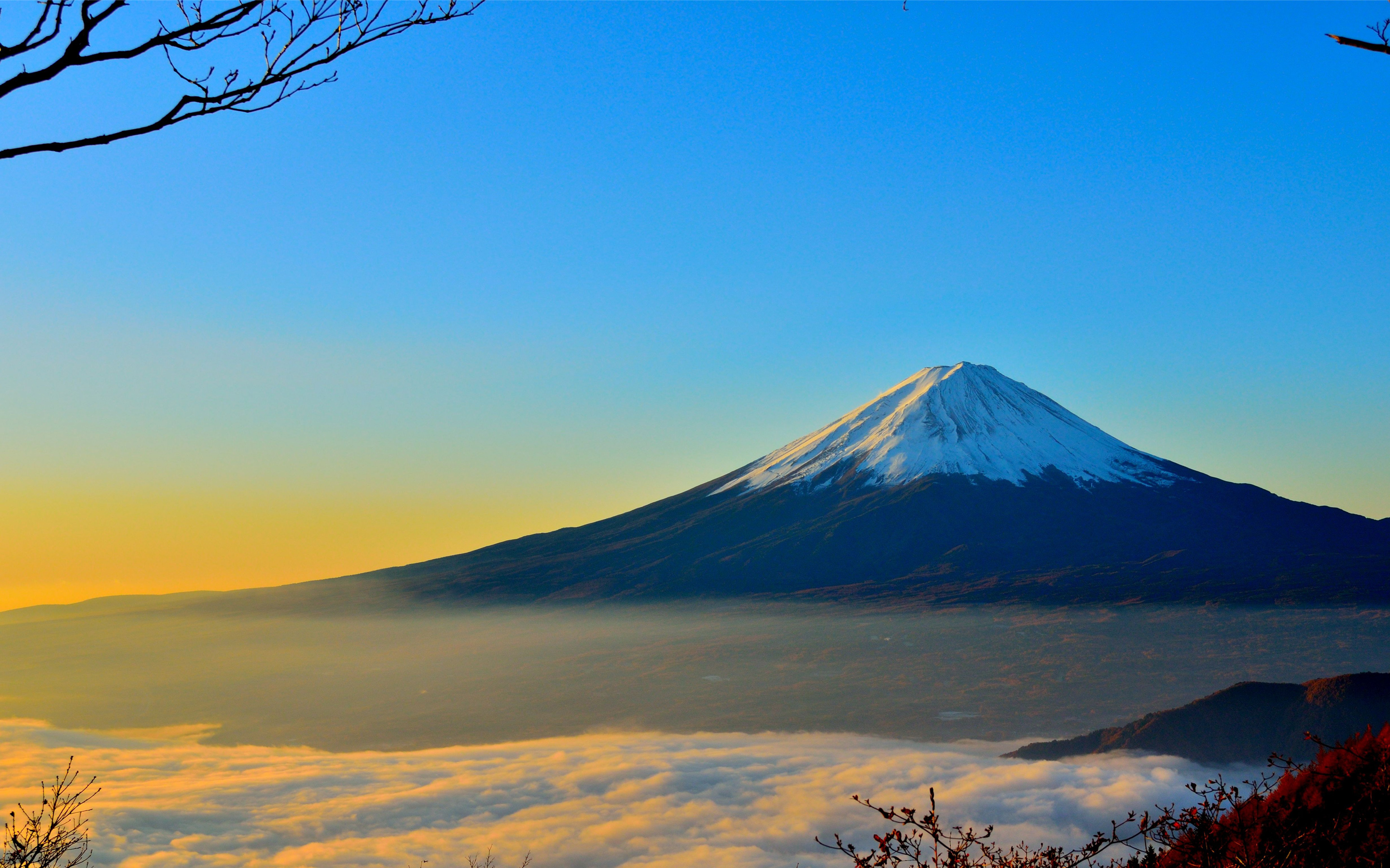 Mount Fuji7894011143